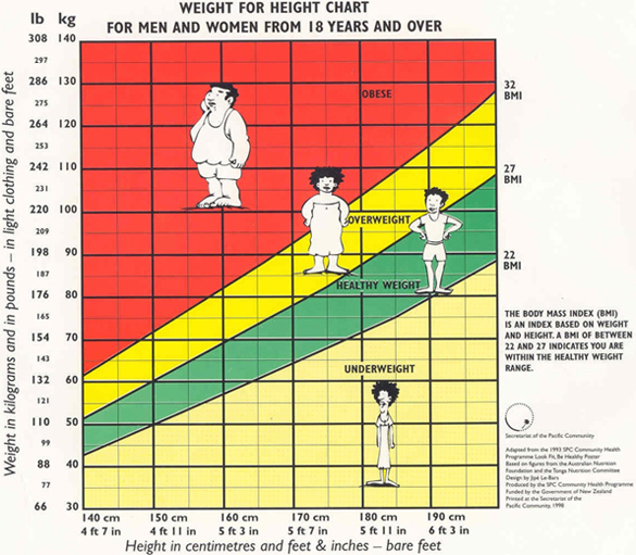 Doctors Bmi Chart